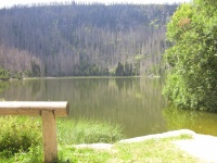 Plen jezero